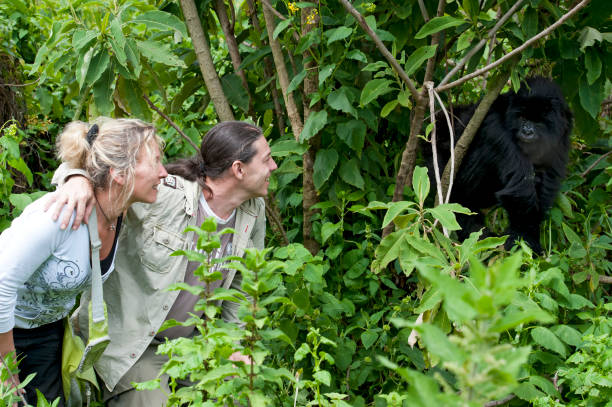 Gorilla Trekking Rwanda